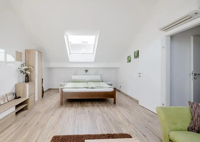 Helles Gemuetliches V5 Apartment *